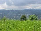 Valuable Land for Sale in Pussellawa Wahurupitiya