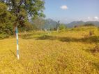 Valuable Land for Sale in Pussellawa Wahurupitiya