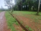 Valuable Land For Sale In Radawana