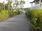 Valuable Land for Sale in Raddoluwa