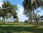 Valuable land for sale in Ragama