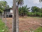 Valuable Land for Sale in Ragama Kadawatha