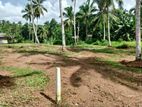 Valuable Land for Sale in Raigama