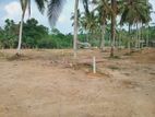 Valuable Land for Sale in Raigama Junction