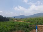 Valuable land for sale in Ramboda