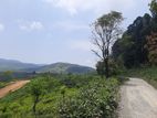 Valuable land for sale in Ramboda