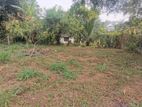 Valuable Land for Sale in Ranawiru Mw, Kadawatha.