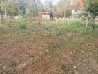 Valuable Land for Sale in Ranawiru Mw, Kadawatha