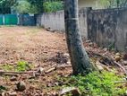 Valuable Land for Sale in Rathmalana