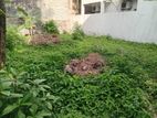 Valuable Land for Sale in Rathmalana