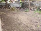 Valuable Land for Sale in Rathmalana