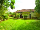 Valuable Land for sale in Ratmalana