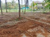 Valuable Land For Sale in Tangalle