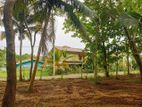 Valuable Land For Sale In Tangalle