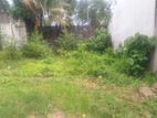 Valuable Land for Sale in Thalawathugoda