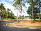 Valuable Land For Sale In Thalawathugoda Hokandara Vidyala Junction