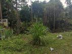 Valuable Land for Sale in Kitulgala