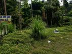 Valuable Land for Sale in Kitulgala