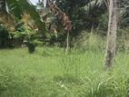 Valuable Land for sale in Thudella Dalathura