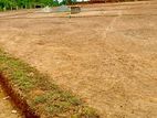 Valuable land for sale in wadduwa