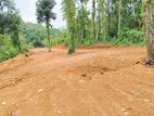 Valuable Land For Sale In Watareka