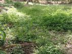 Valuable Land for Sale in Wattala