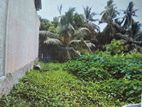 Valuable Land for sale in Wattala