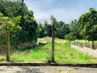 Valuable Land For Sale In weerakoon garden kandy (TPS2321)