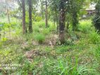 valuable Land for sale in weligampitiya Gurugea Road