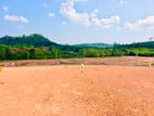 Valuable land for sale in Welipanna Aluthgama