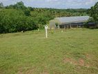 Valuable Land for Sale in Welipenna, Aluthgama