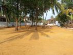 Valuable Land for sale in Welisara Mahabage