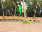 Valuable Land for Sale Kadawatha Kossinna