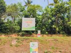 Valuable Land for Sale Kaduwela