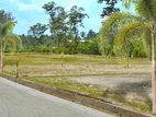 Valuable Land for sale Kaduwela