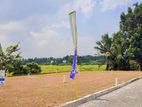 Valuable Land for Sale Kaduwela