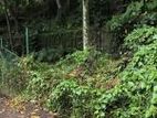 Valuable Land for Sale – Kandy City