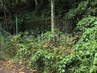 Valuable Land for Sale – Kandy City