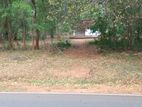 Valuable Land for Sale Kataragama