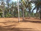 Valuable Land for Sale - Kirindiwela