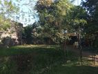 Valuable Land for Sale Kottawa