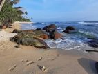 Valuable Land for Sale – Madiha, Matara