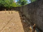 Valuable land for sale Maharagama
