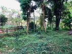 Valuable Land For Sale Makumbura , Kottawa