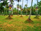 Valuable Land for Sale Mandawala