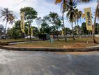 Valuable Land for Sale Matara