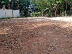 Valuable Land for Sale – Matara, Polhena