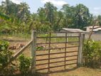 Valuable Land for Sale – Mawathagama, Kurunegala
