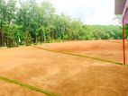 Valuable Land for Sale Meegoda Wateraka
