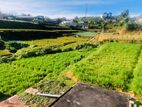 Valuable Land for Sale – Meepilimana, Nuwara Eliya